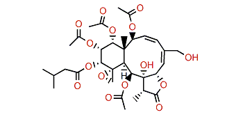 Gemmacolide P